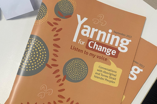Young First Nations people yarn about youth justice