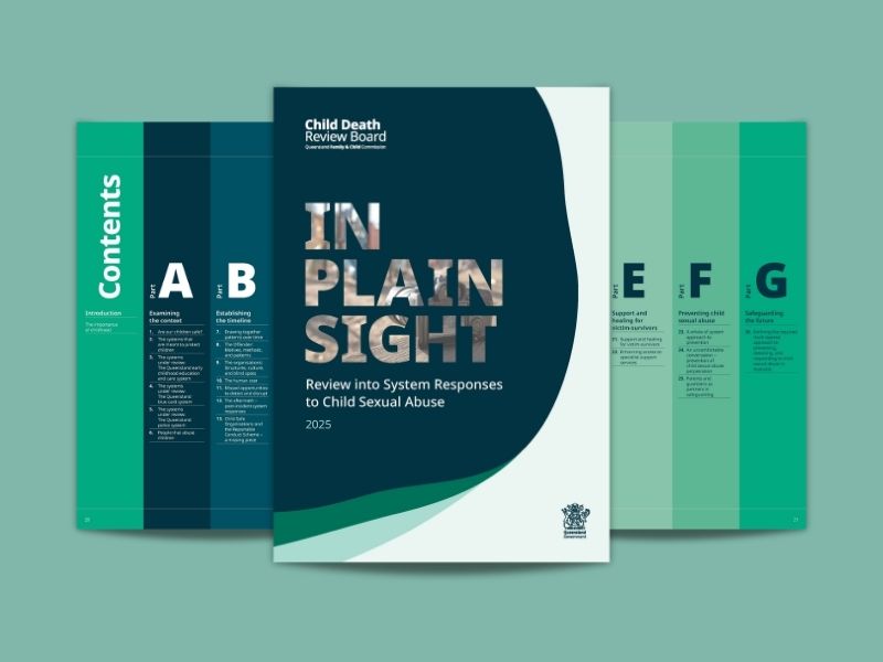 Thumbnail for news article In Plain Sight report released