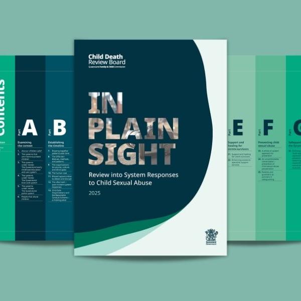 Thumbnail for news article In Plain Sight report released