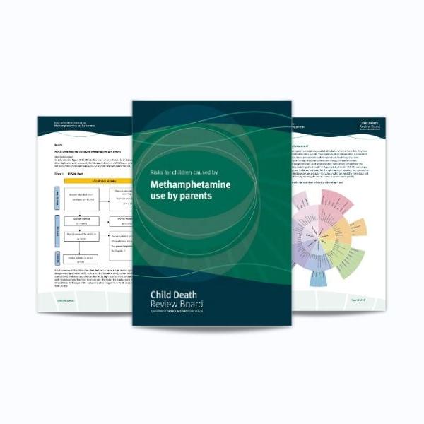 Thumbnail for Risks for children caused by methamphetamine use by parents