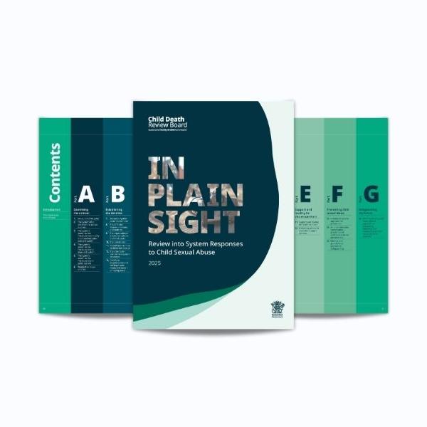 Thumbnail for In Plain Sight report